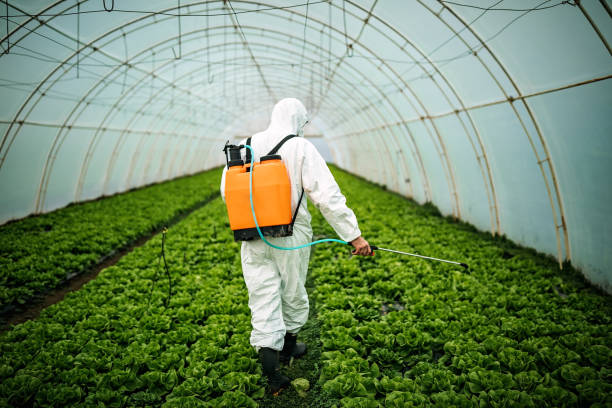 Best Pest Removal Services  in Palm Valley, FL