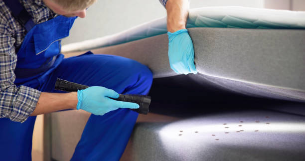 Best Pest Control Treatment  in Palm Valley, FL