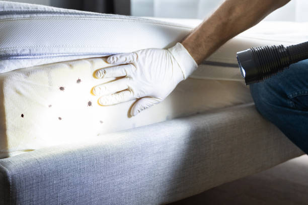 Pest Prevention Services in Palm Valley, FL