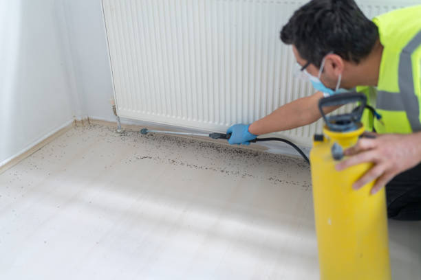 Pest Control Cost in Palm Valley, FL