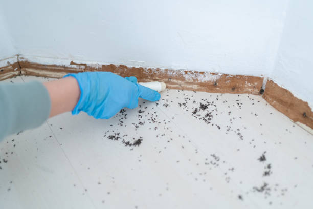 Best Spider Control Near Me  in Palm Valley, FL