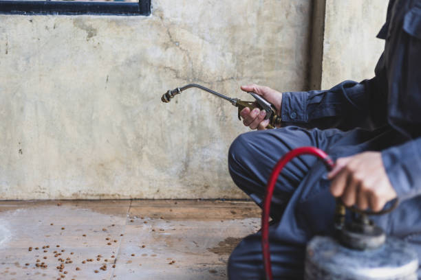 Best Best Pest Control Companies  in Palm Valley, FL