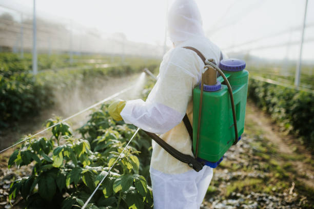 Best Bed Bug Extermination  in Palm Valley, FL
